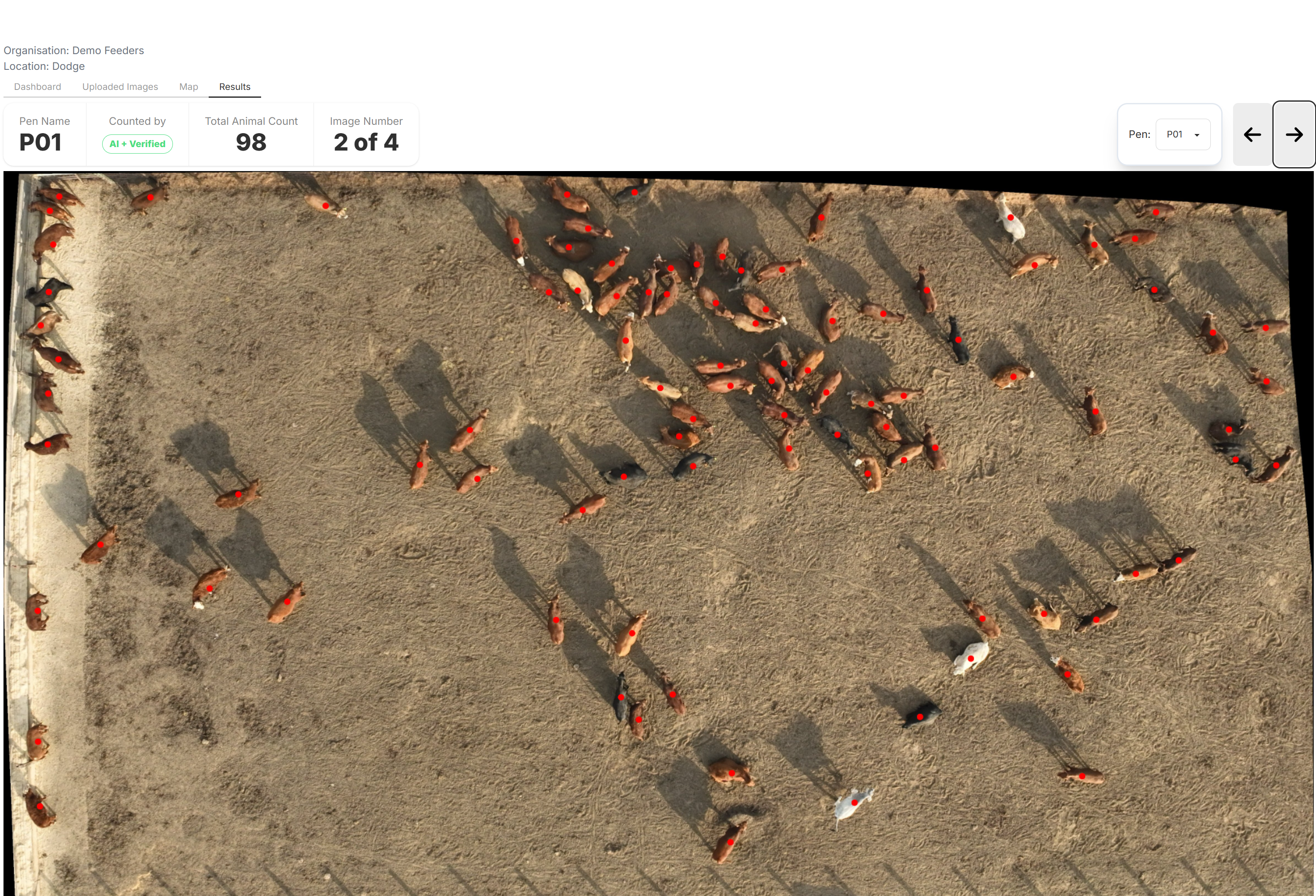 Livestock counting dashboard showing pen analysis